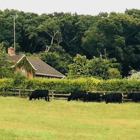 Yellowham Farm, Dorchester Higher Bockhampton Exteriör bild