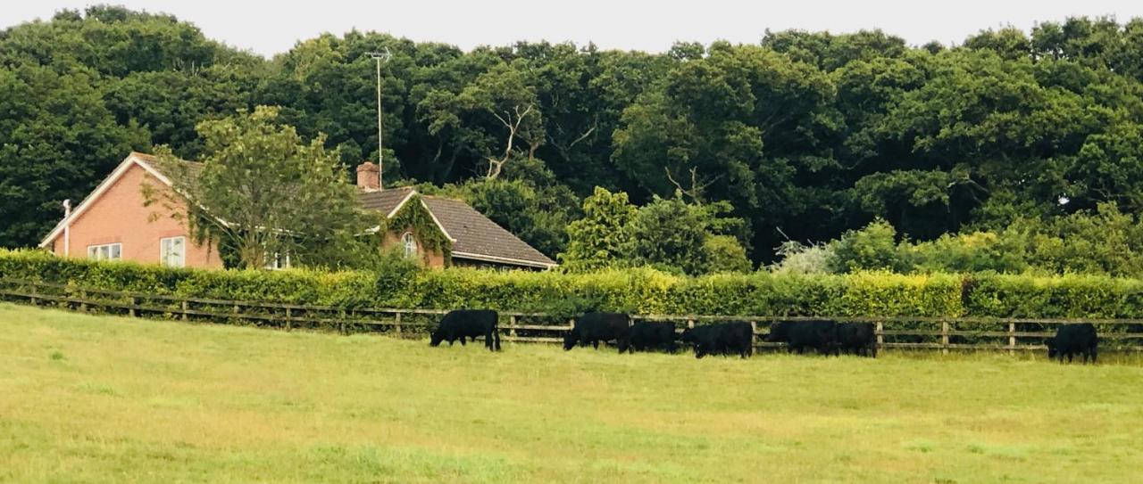 Yellowham Farm, Dorchester Higher Bockhampton Exteriör bild