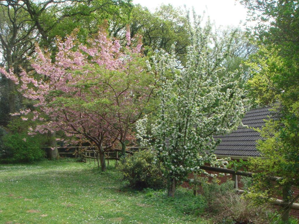 Yellowham Farm, Dorchester Higher Bockhampton Exteriör bild