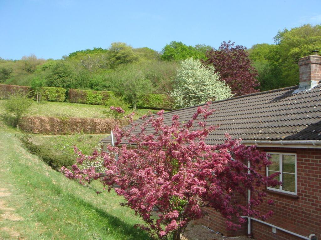 Yellowham Farm, Dorchester Higher Bockhampton Exteriör bild